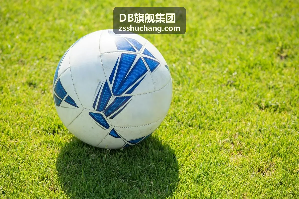 DB旗舰集团供应链金融风控案例